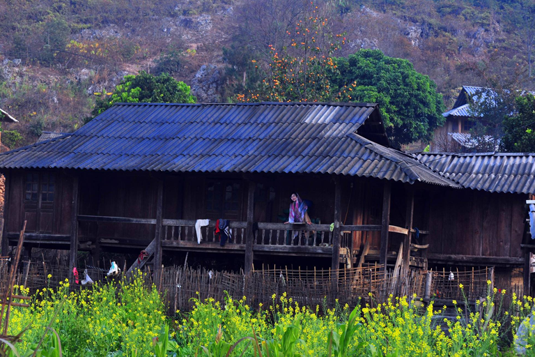 thái